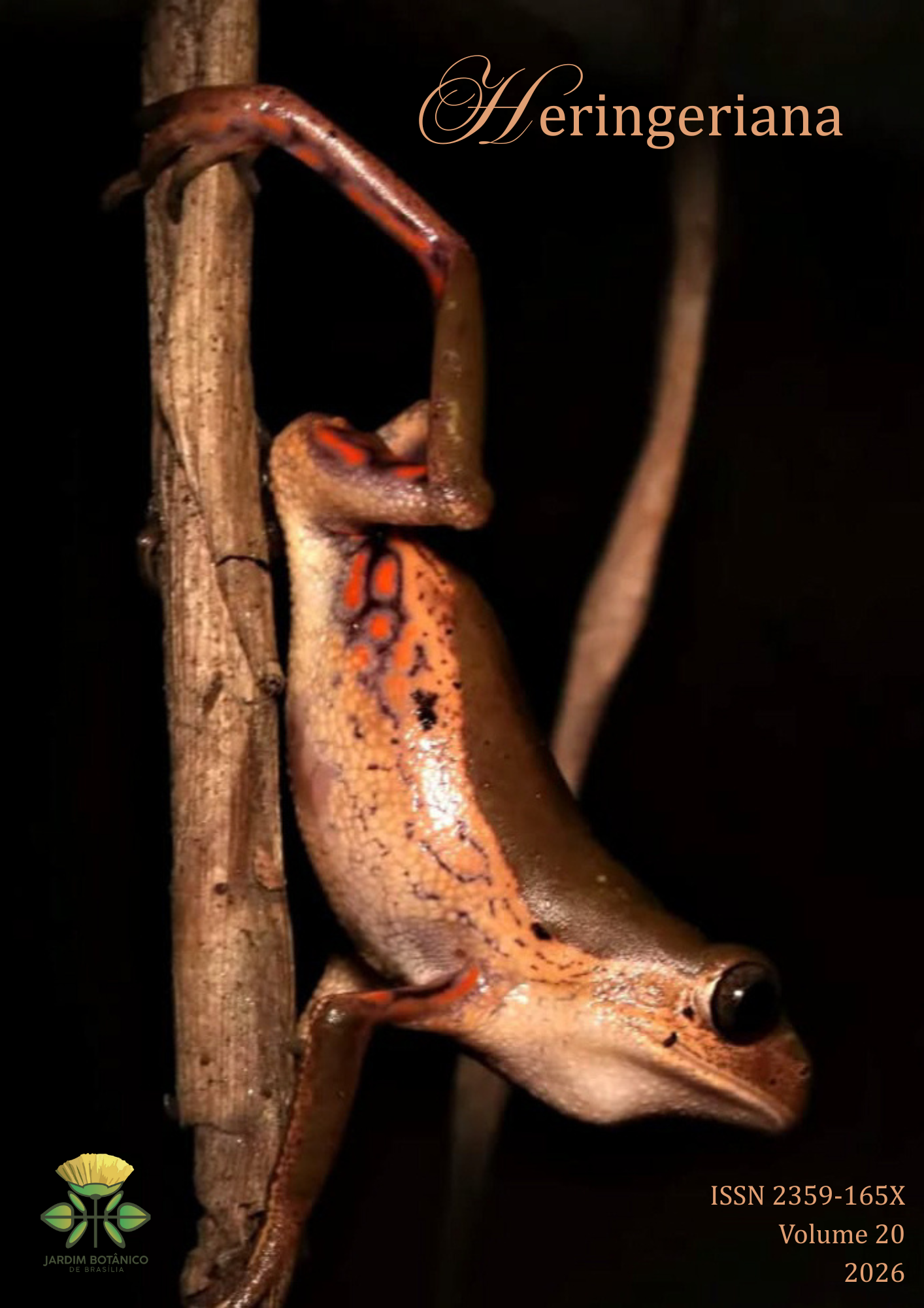 					Visualizar v. 20 (2026): Heringeriana
				